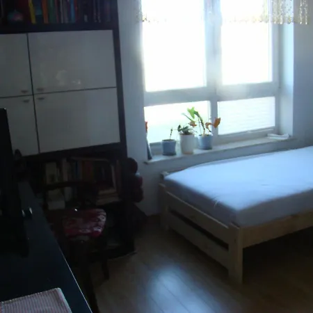 Magnolia Στσέτσιν